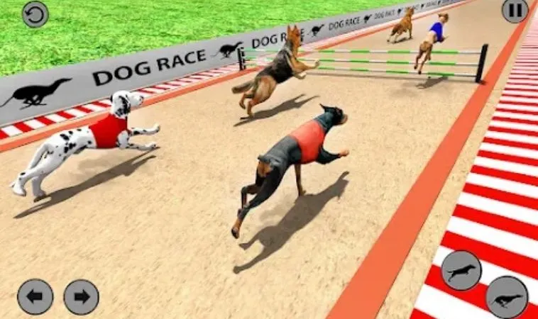 Bí Quyết Thắng Lớn Với Đua Chó Tại 69VN: Hướng Dẫn Từ A-Z 2 Giao diện chơi game nhanh đua chó tại 69VN