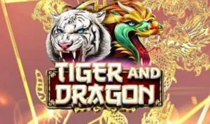 Dragon Tiger tại 69VN